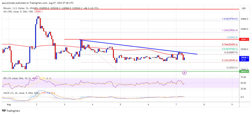 Bitcoin Price Relatively Muted, Risk of More Downsides Still Exist