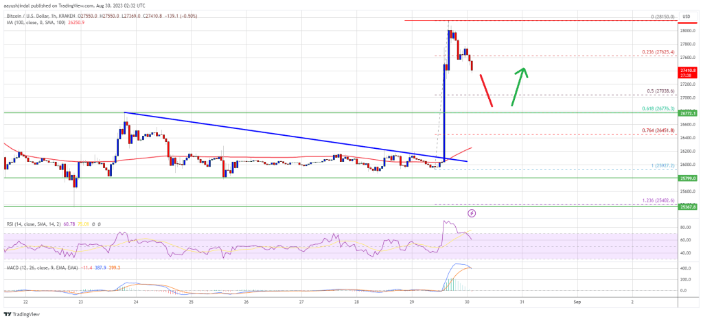 Bitcoin Price Starts Correction Post Rally, Why Dips Could Be Attractive
