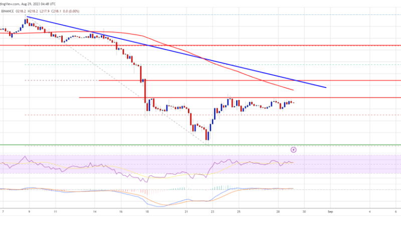 BNB Price Prediction: Recovery To $235 On The Horizon As Bulls Step-in