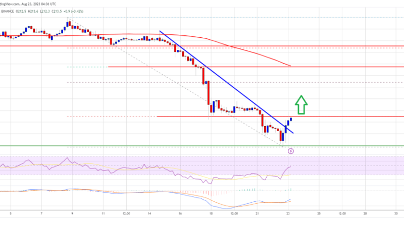 BNB Price Prediction: Why Bulls Could Aim Recovery To $230