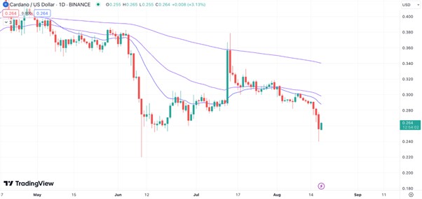 Cardano & Solana Prices Tank Amid Bearish Market, But Traders Are Backing LPX Token Presale to Hit $1.5 Million