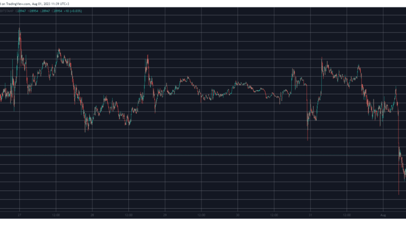 Crypto Markets Lose $20B Daily as Bitcoin Slips Below $29K (Market Watch)