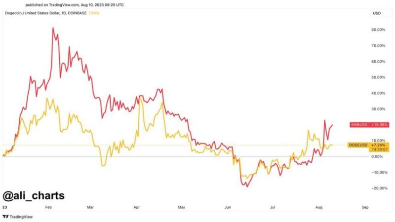 Dogecoin Rally Ahead? This Positive Correlation Data Points To A Potential 20% Jump For DOGE