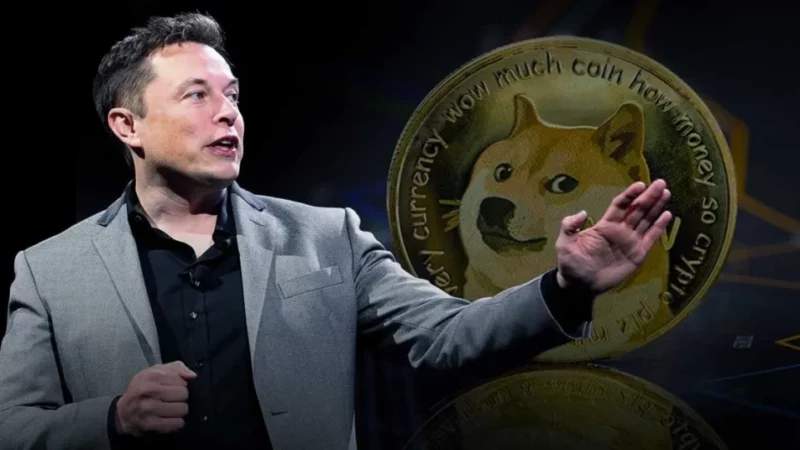 Elon Musk Hails Twitter as a “DOGE friendly place”!