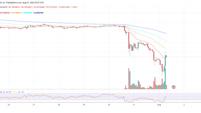 Ethereum DeFi Coins Plunge As Curve Concerns Threaten Major Market Crash