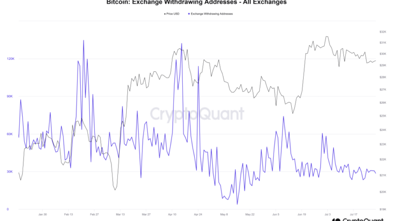 Few Bitcoin Holders Withdrawing BTC From Exchanges, Is Fear Creeping In?