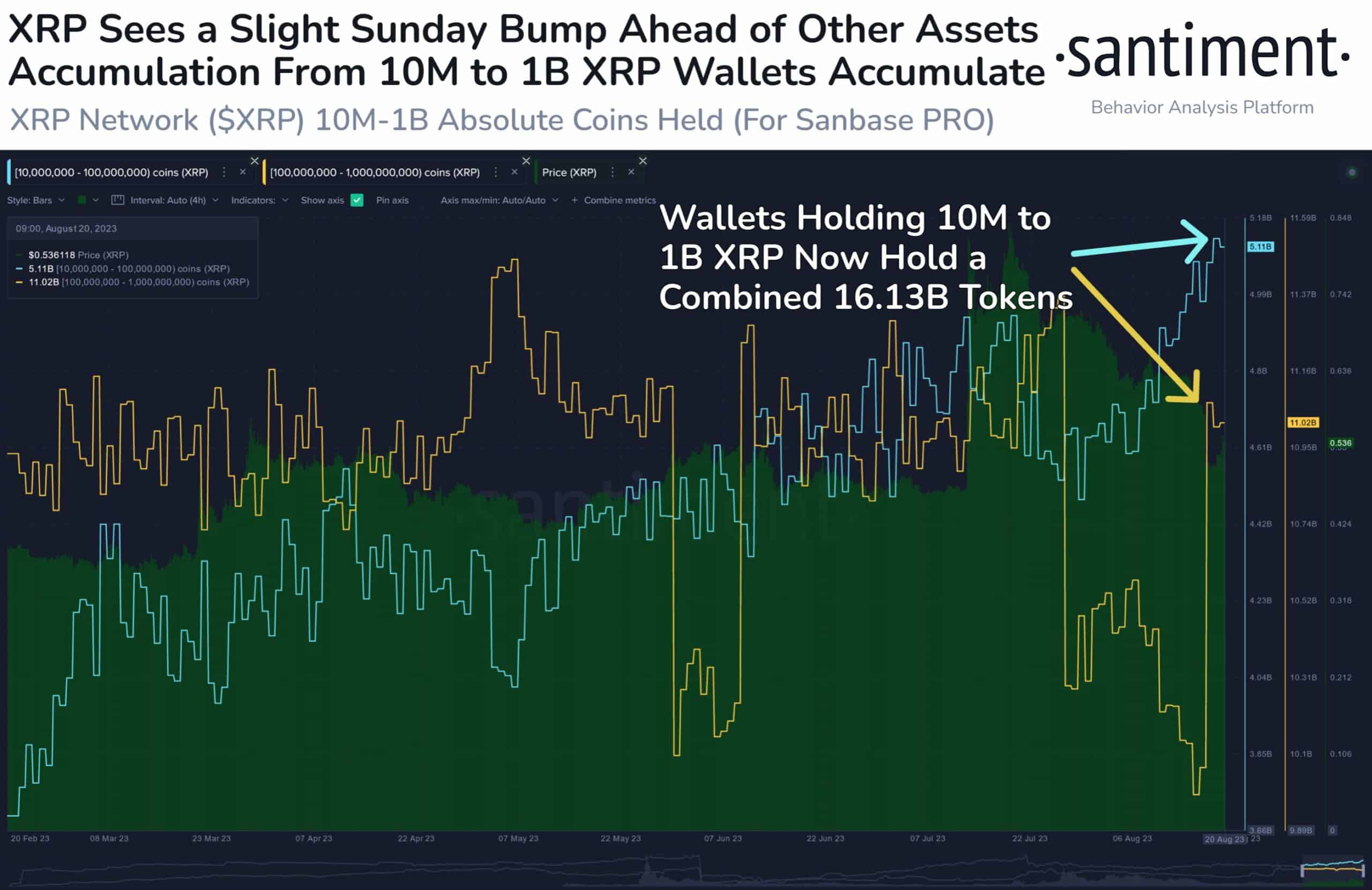 Is XRP Staging a Recovery? Largest Whales Continue Accumulating in Prepartion of Ripple Bull Run