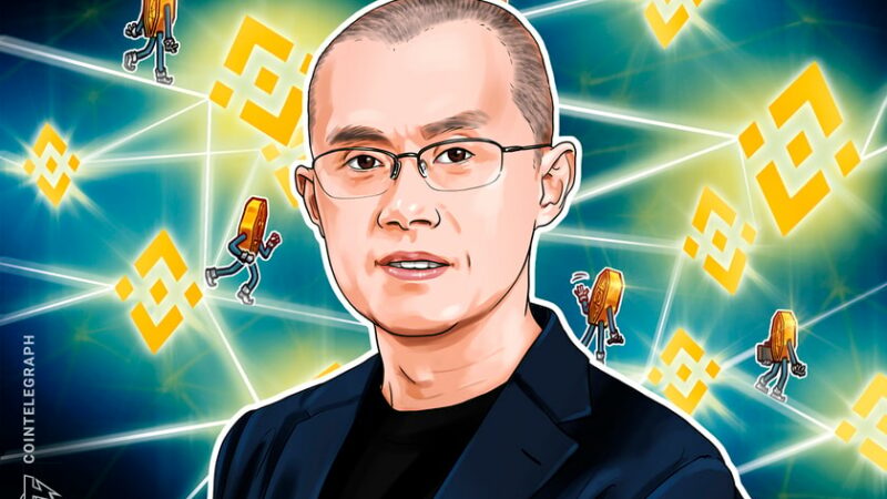 ‘Let’s just diversify and see’ — Binance CEO on its stablecoin strategy