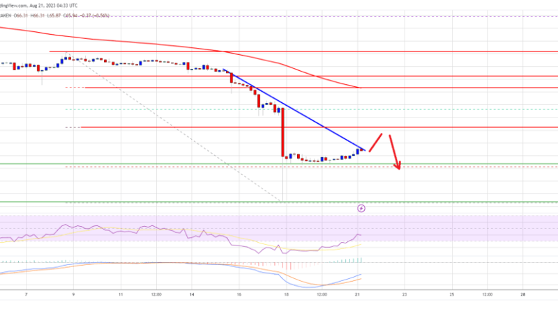 Litecoin Price Prediction: LTC Faces Uphill Task Near $70