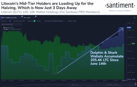 Litecoin Sharks Buy More Than 200,000 LTC Ahead Of Wednesday’s Halving