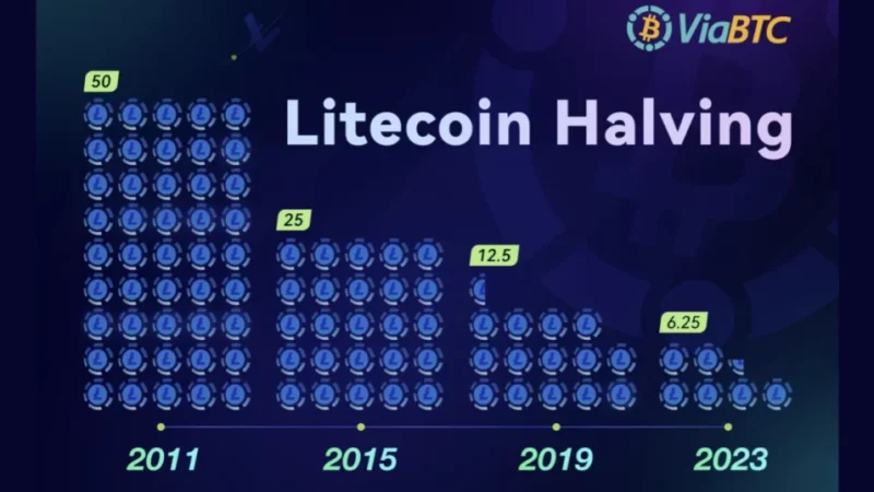 LTC Halving Triggers Market Turmoil: Price Plunges by 10% in One Week and Mining Profits Take a Hit!