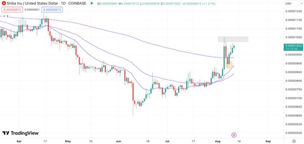 Shiba Inu Price Continues Bullish Ascent, as Shibie Coin is Also Pumping