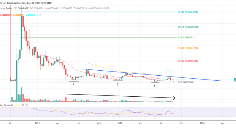 Shiba Inu Price Faces Big Move: Triple Bottom Or Descending Triangle?