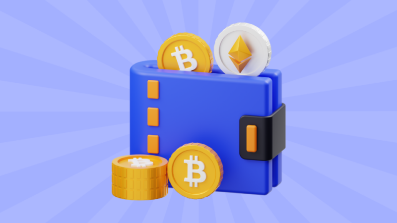 Steps to Safeguard Your Crypto Wallet from Potential Threats 