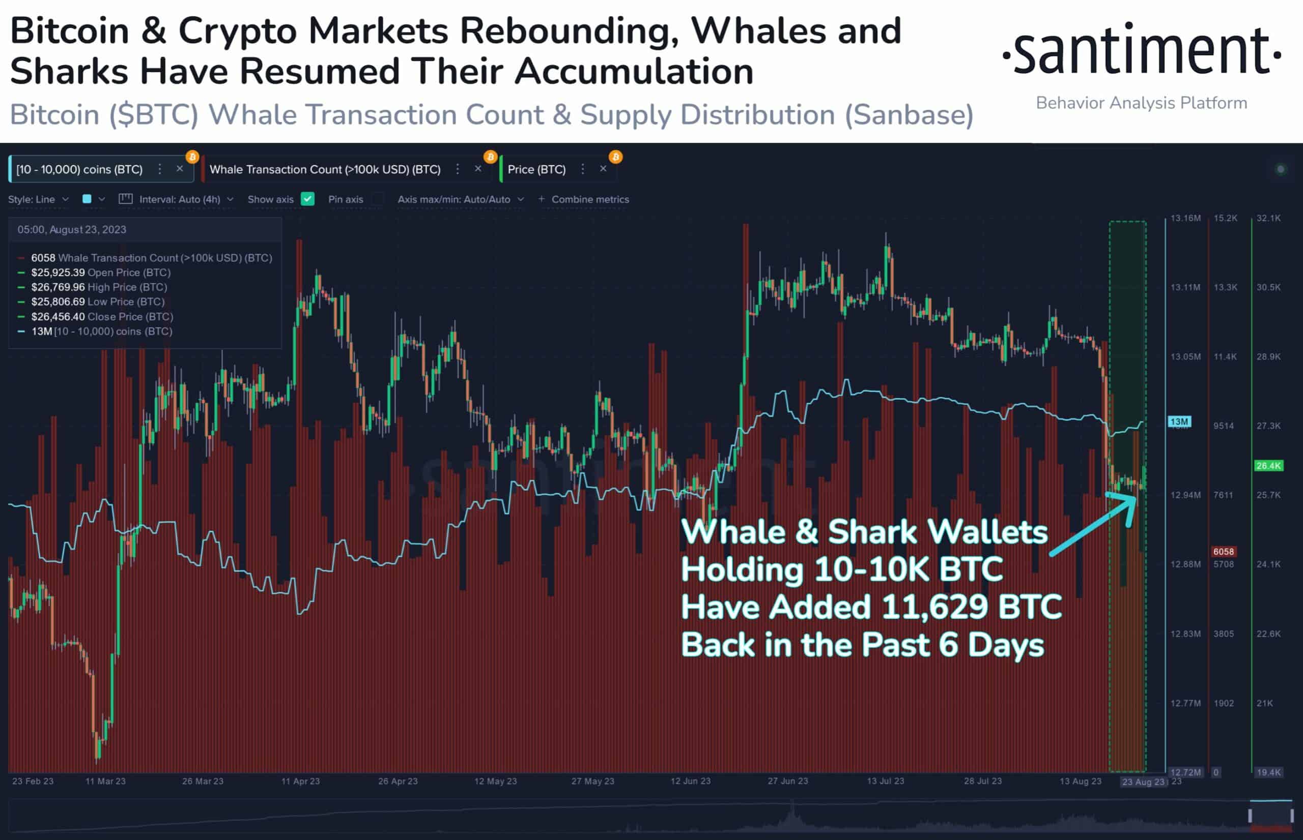 Whales and Sharks Accumulated $300 Million in BTC Since the Mid-August Crypto Crash