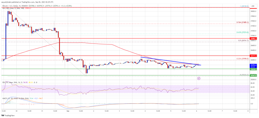 Bitcoin Bulls Hold Strong At $25,500 But Can They Push BTC Higher?