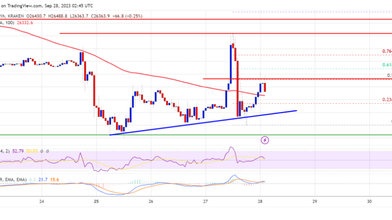 Bitcoin Bulls Keep Pushing But Faces Rejection, 100 SMA Is The Key