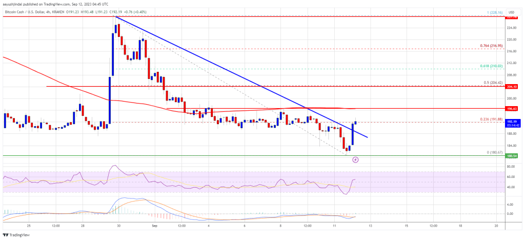 Bitcoin Cash Price Signals Fresh Increase Despite Weakness in BTC and ETH