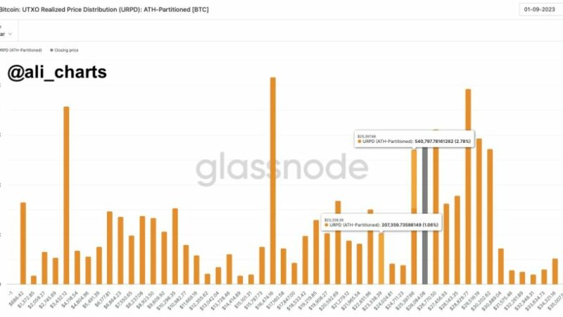 Bitcoin Freefall Alert: On-Chain Metrics Expose Vulnerability, Targets $23,000