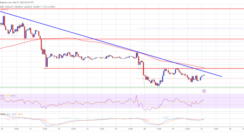Bitcoin Price Could See Recovery If It Holds This Key Support