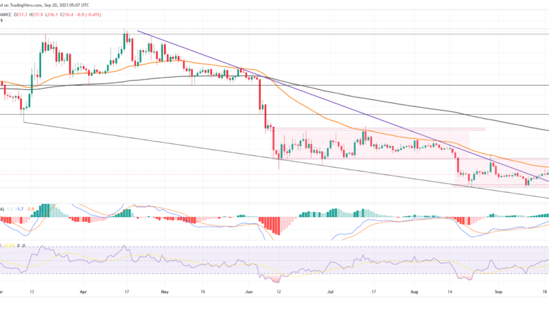 BNB Price Analysis: Here’s How BNB Price Will Cross $250!
