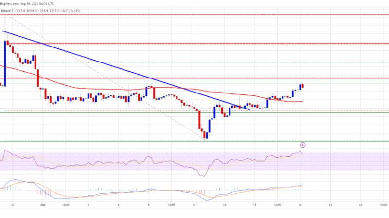 BNB Price Prediction – Poised For Bullish Breakout Unless This Changes