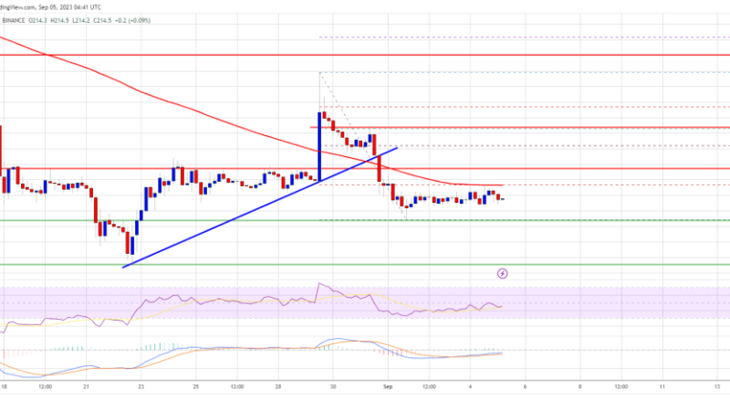 BNB Price Topside Bias Vulnerable If It Continues To Struggle Below $225