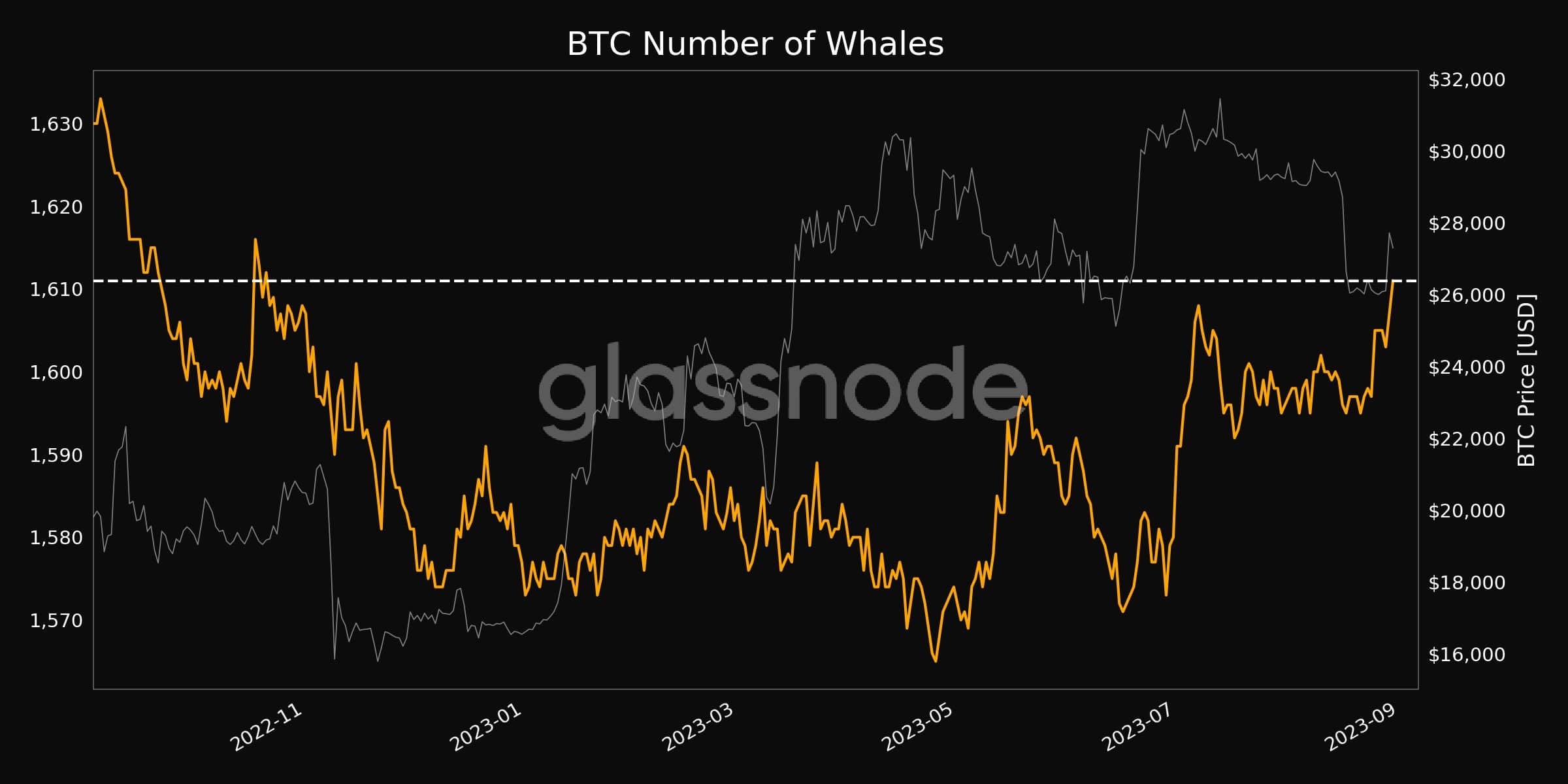 BTC Whales Number Tapped 10-Month Peak Following the Recent Turbulence