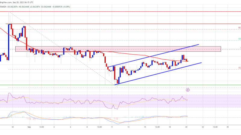 Dogecoin Price (DOGE) Prediction – Bulls Face Uphill Task Near $0.064