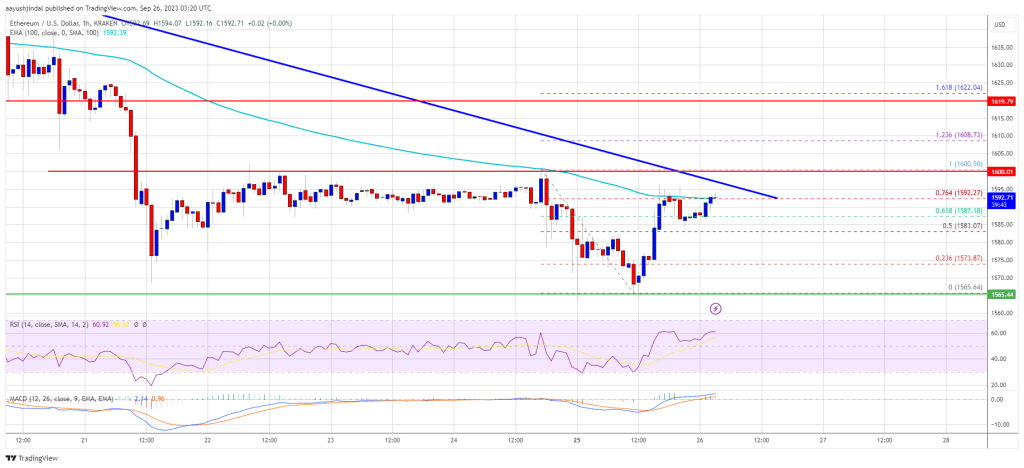 Ethereum Price Hints At Potential Correction But Faces Uphill Task