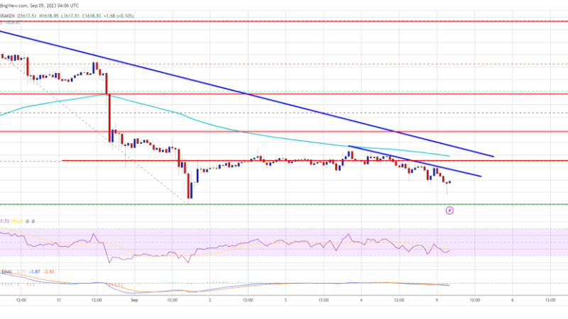 Ethereum Price Indicators Suggest Vulnerability For Bigger Decline