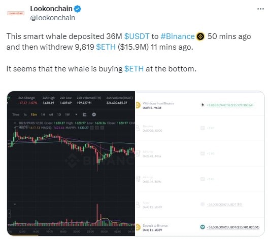 Is the Bottom In for Ethereum? Whales Accumulate Millions Worth of ETH