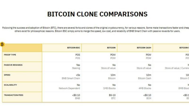 New Stake-to-Earn Token Bitcoin BSC Surges Past $3 Million in Just Two Weeks of Presale