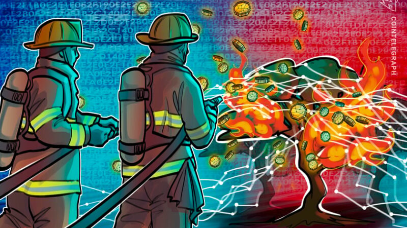 Oprah and The Rock collect crypto donations for Maui wildfires victims