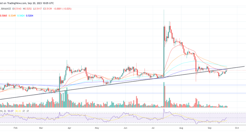 Ripple Stirs Debate By Shuffling $260 Million In XRP: What’s Behind The Move?