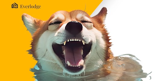 Shiba Inu and Cardano See Price Decreases While Everlodge Price Increases 20%