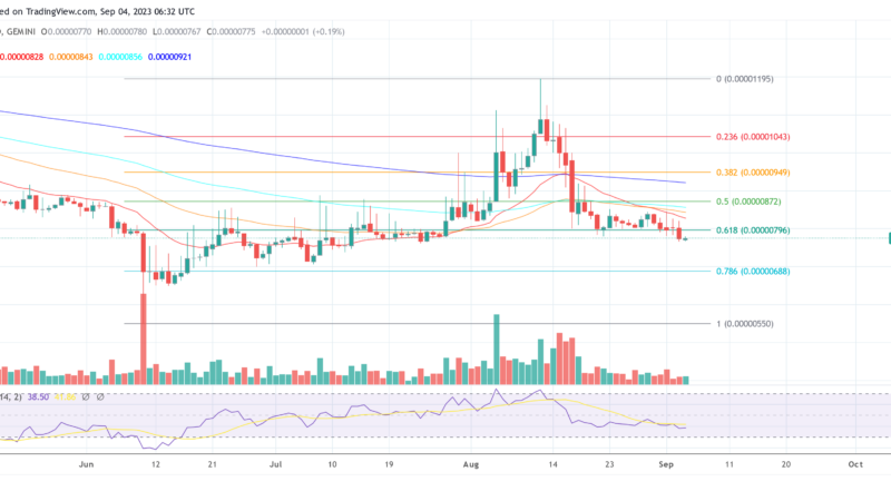 Shiba Inu Dev Unveils Major Shibarium Upgrades Amidst SHIB Retracement