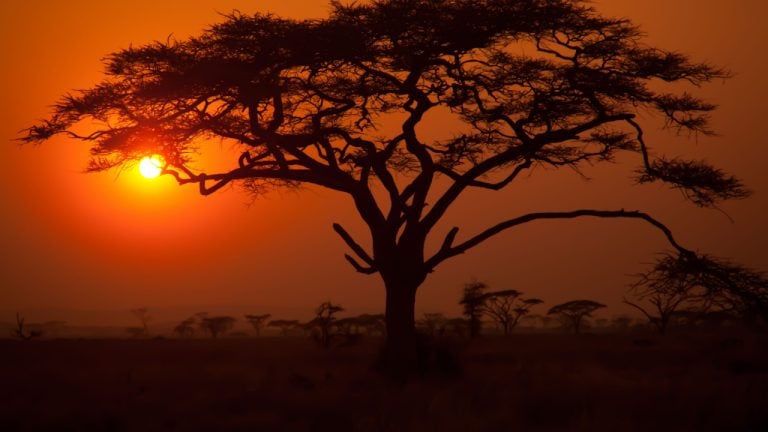 Study: Sub-Saharan Africa’s Bitcoin Transaction Volume Number One Globally, Data Indicates Shift Towards Stablecoins