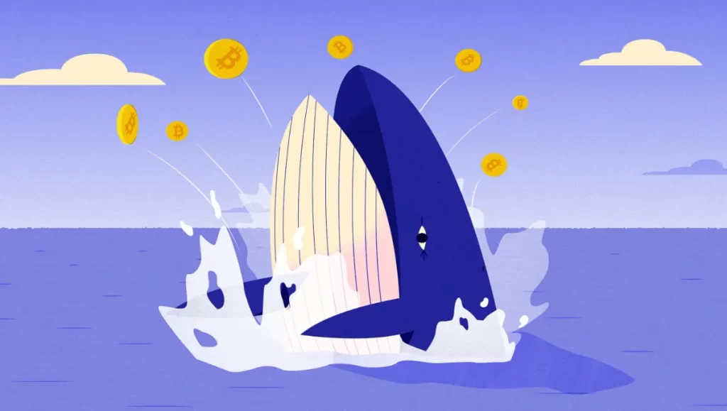 Whale Watch: Are Crypto Giants Betting on Bitcoin’s Recovery?