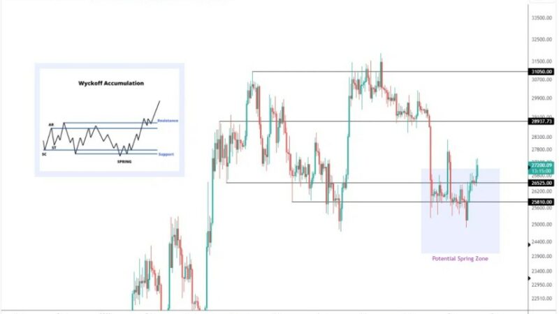 Wyckoff Support Holds Strong: Bitcoin Bulls Eyeing $31,000 In Near-Term Rally