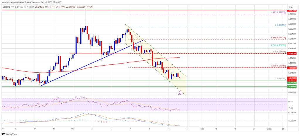 ADA Price Hints At Potential Correction, Buy The Dip?