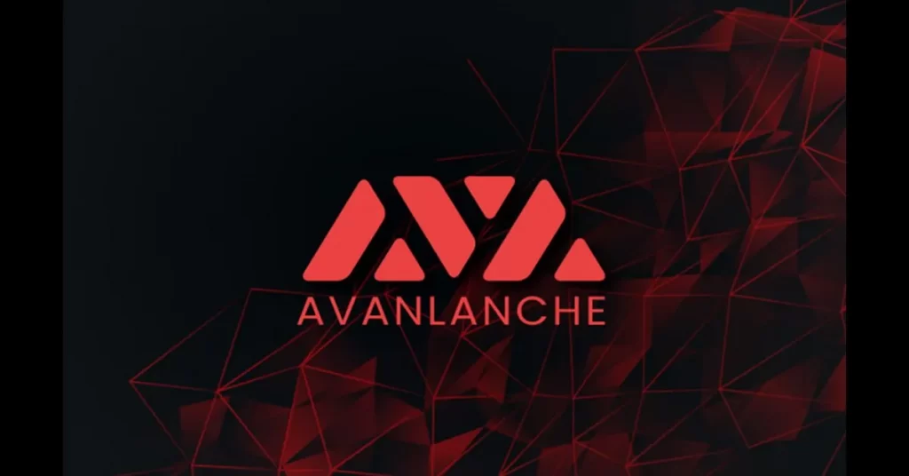 Avax-Based Stars Arena Secures Funding to Reopen Soon: ‘We’re Not Going Anywhere