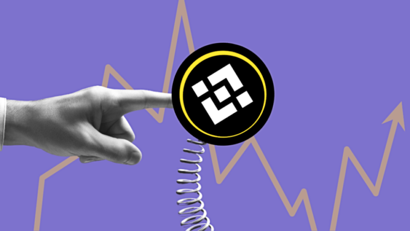 Binance Coin Price Analysis: Is The Coin Dead? What’s Next For BNB Price?