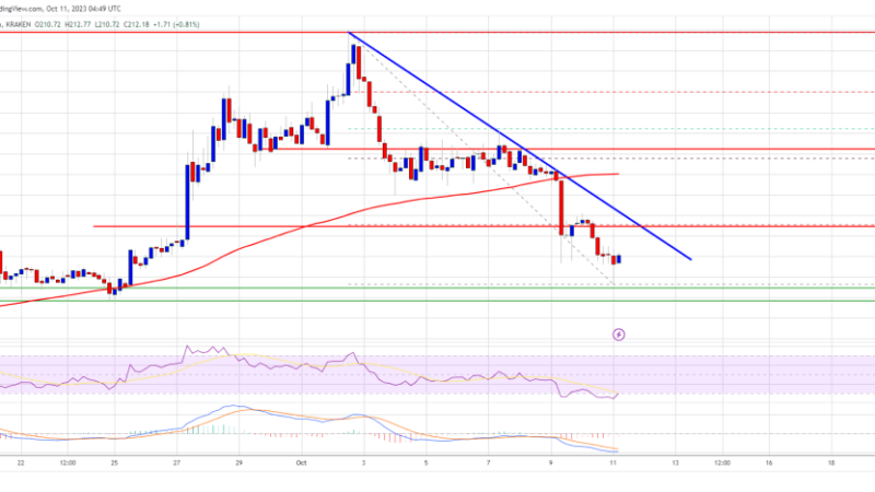 Bitcoin Cash Price Prediction: This Support Could Trigger Fresh BCH Rally