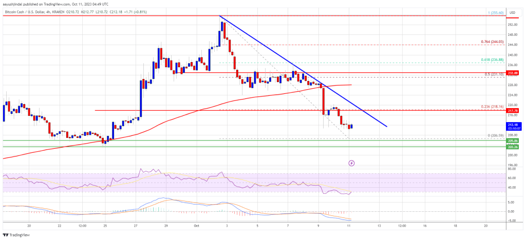 Bitcoin Cash Price Prediction: This Support Could Trigger Fresh BCH Rally