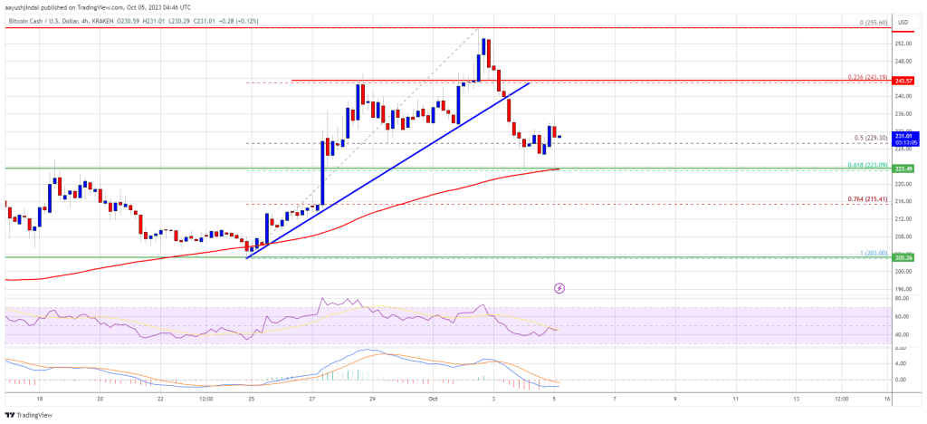 Bitcoin Cash Price Won’t Go Down Quietly – Risk of Bounce Grows