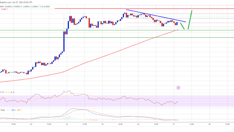 Bitcoin Price Holds 100 SMA – A Strengthening Case For Fresh Increase