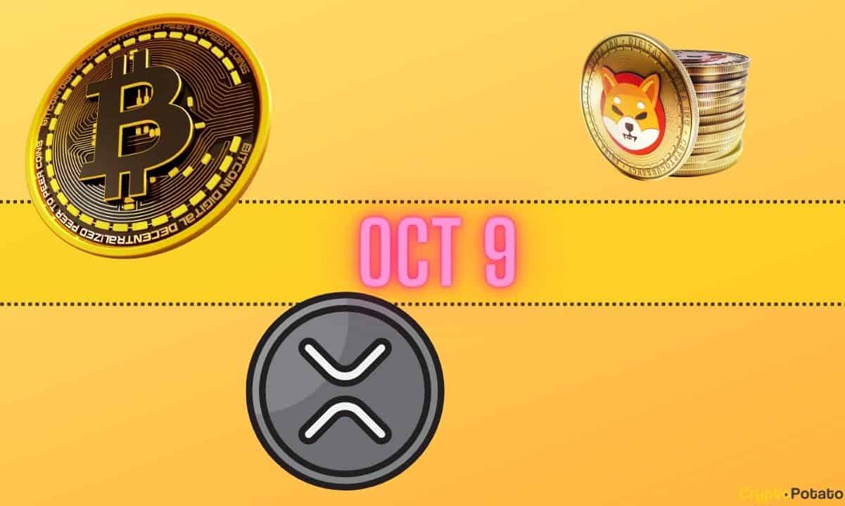 Bitcoin Price Predictions, XRP Targets, and Shiba Inu Issues: Bits Recap Oct 9