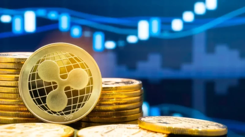 Bitrue Unveils Thrilling News for The XRP Community, $ROE and $FLOKI Enter A Bull Run