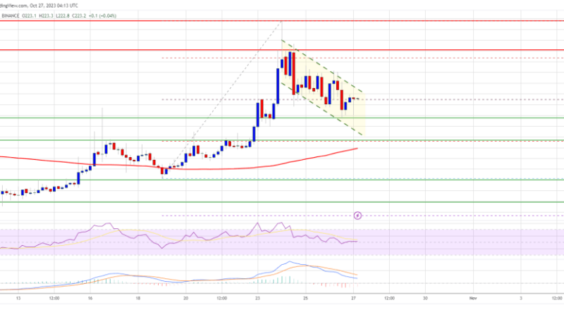 BNB Price At Make-Or-Break Moment, Key Levels To Watch